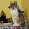 Отзыв от Гульнара Елизарова